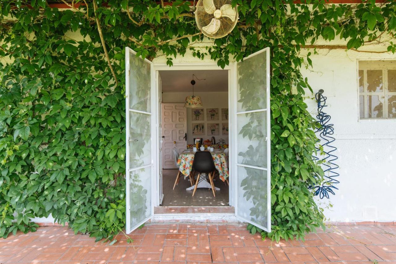 La Casita De Hato Pinos, Un Rincon En Donana Aznalcazar Exterior photo